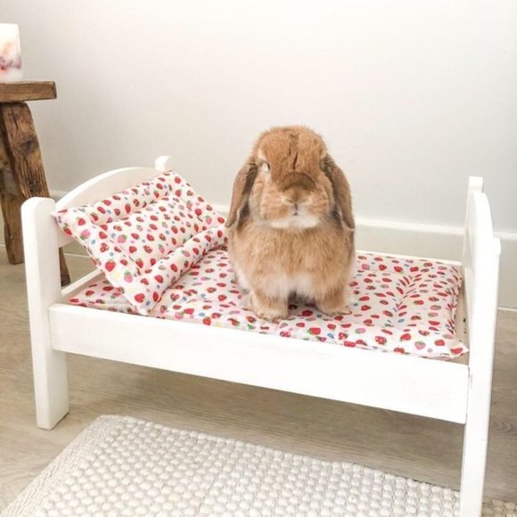 IKEA DUKTIG Pet bed with bedlinen set, pine, multicolor - Picture 15 of 17